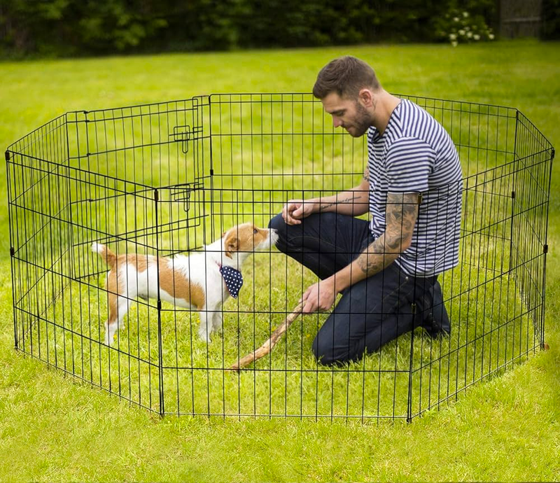 Crea un espacio seguro y cómodo en casa para tu perro con un corral canino