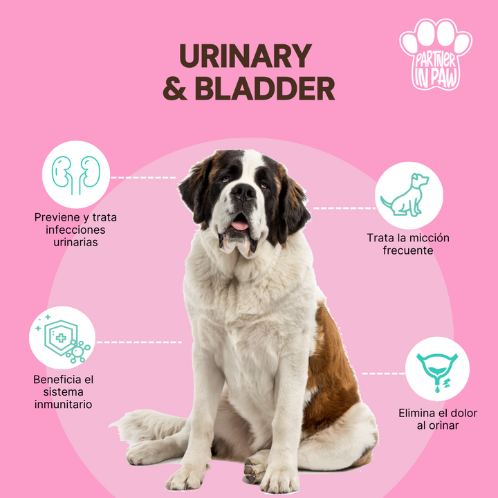 Urinary & Bladder | Suplementos Masticables para mantener saludable el tracto urinario y la vejiga de tu mascota