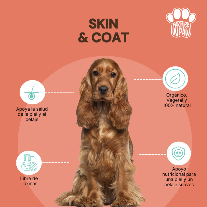 Skin & Coat |  Suplementos Masticables para Mejorar la Piel y Pelaje de tu Mascota