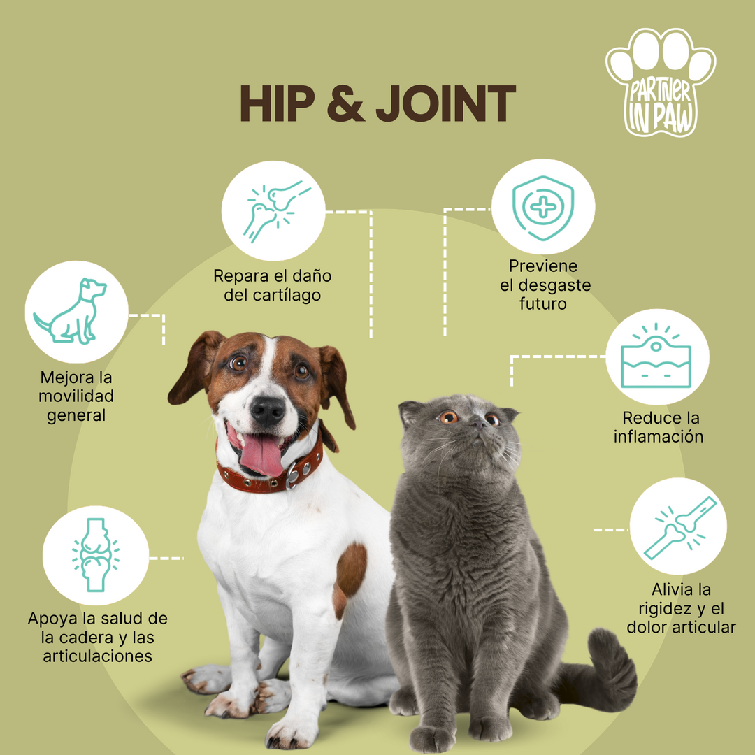 Hip & Joint | Suplemento Líquido para fortalecer  Cadera y Articulaciones