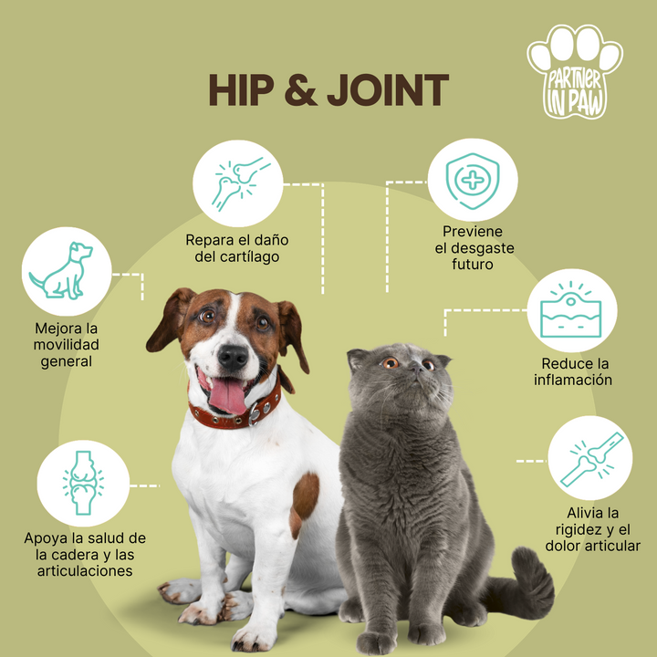 Hip & Joint | Suplementos para fortalecer la Cadera y Articulaciones