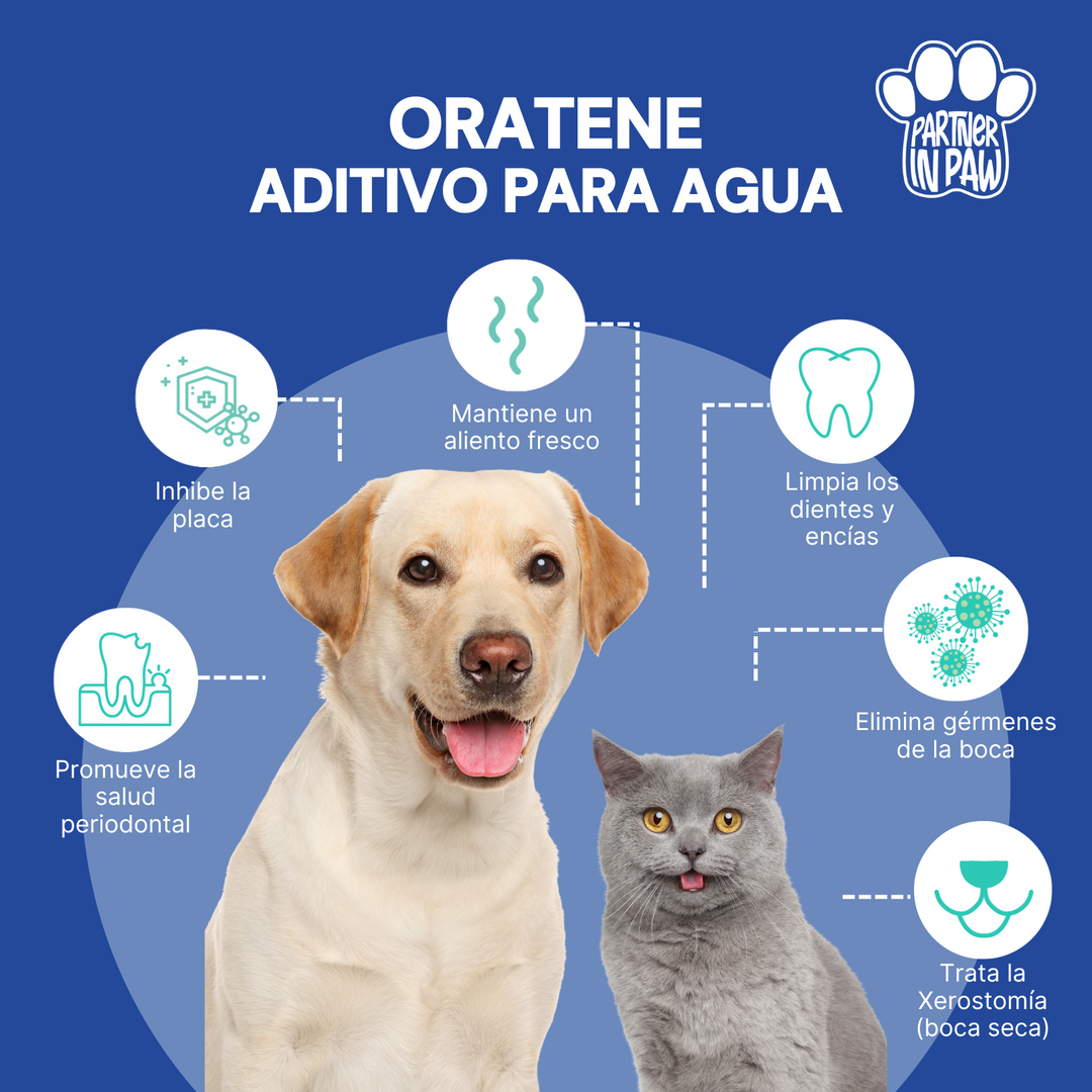 Oratene | Aditivo enzimático para Agua para el Cuidado Bucal de Perros y Gatos