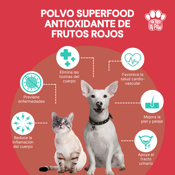 Polvo Superfood Antioxidante de Frutos Rojos