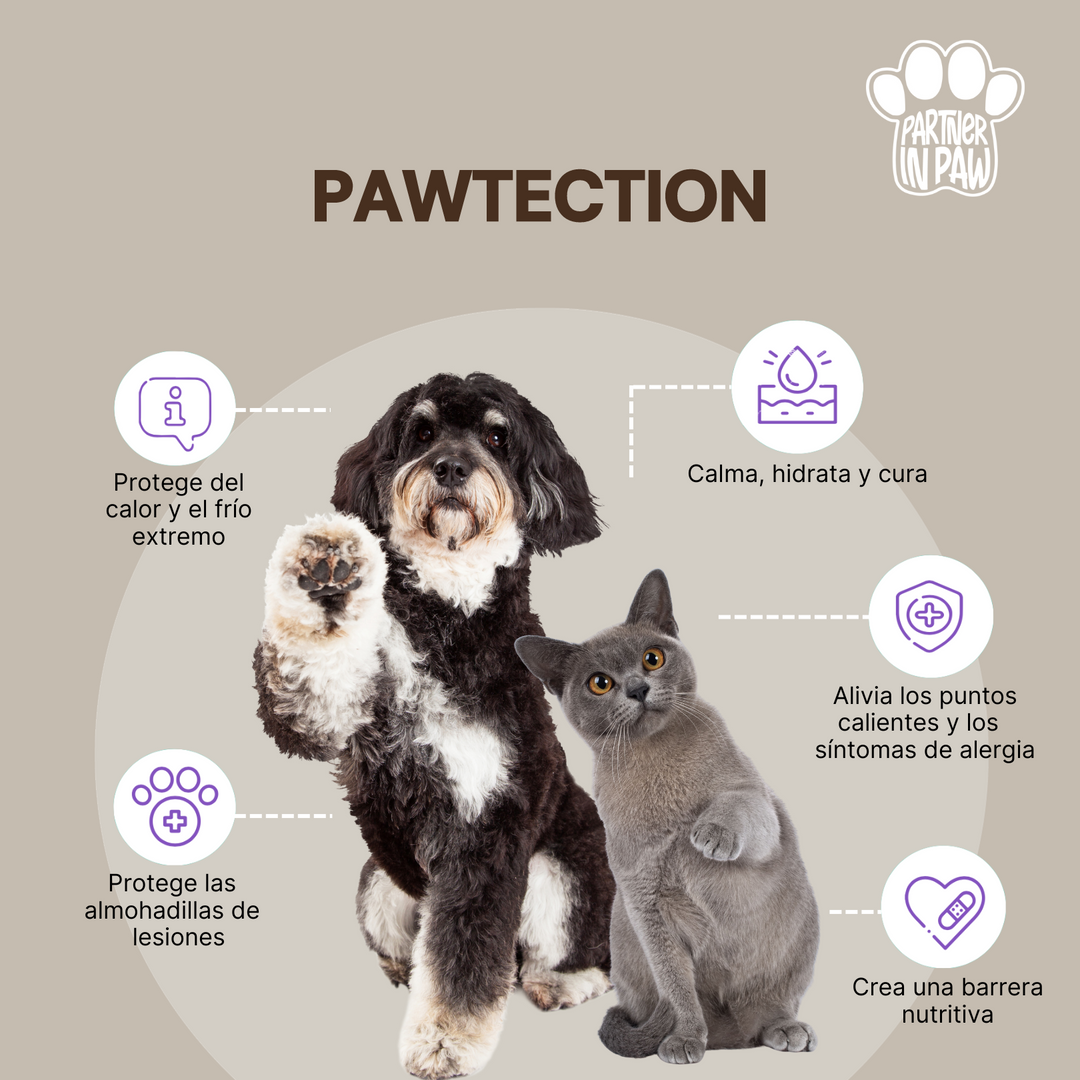 PawTection | Bálsamo Protector para patitas