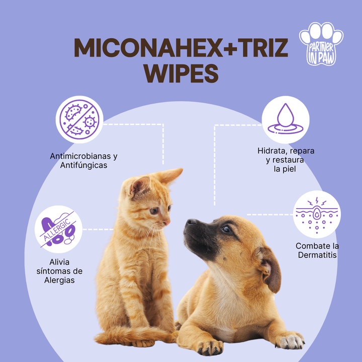 MiconaHex+Triz Wipes | Toallitas antimicrobianas, antifúngicas e hidratantes