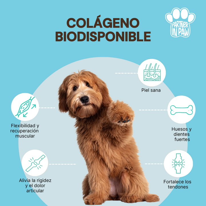 Colágeno Biodisponible | Suplemento Masticable de Colágeno Hidrolizado para perros y gatos.