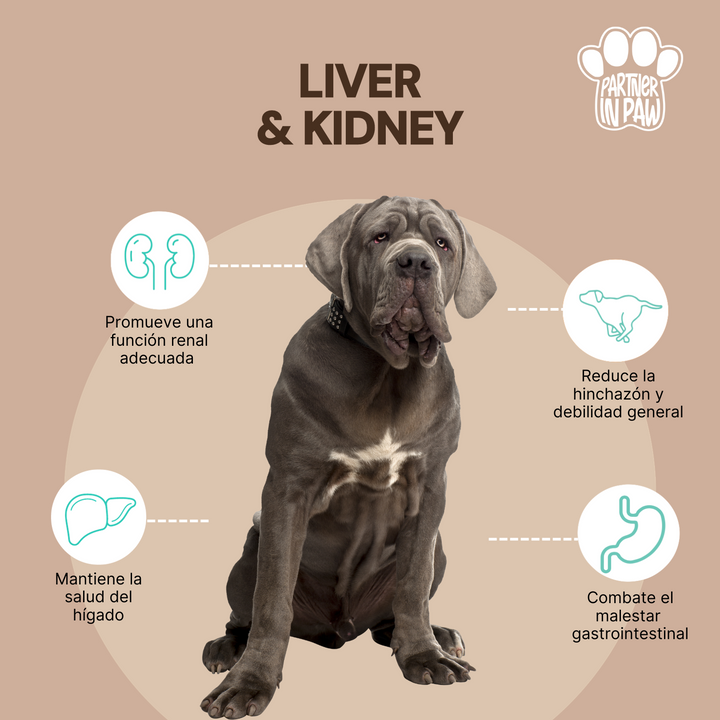 Liver & Kidney | Suplementos Masticables para mantener saludables los riñones y el hígado de tu mascota