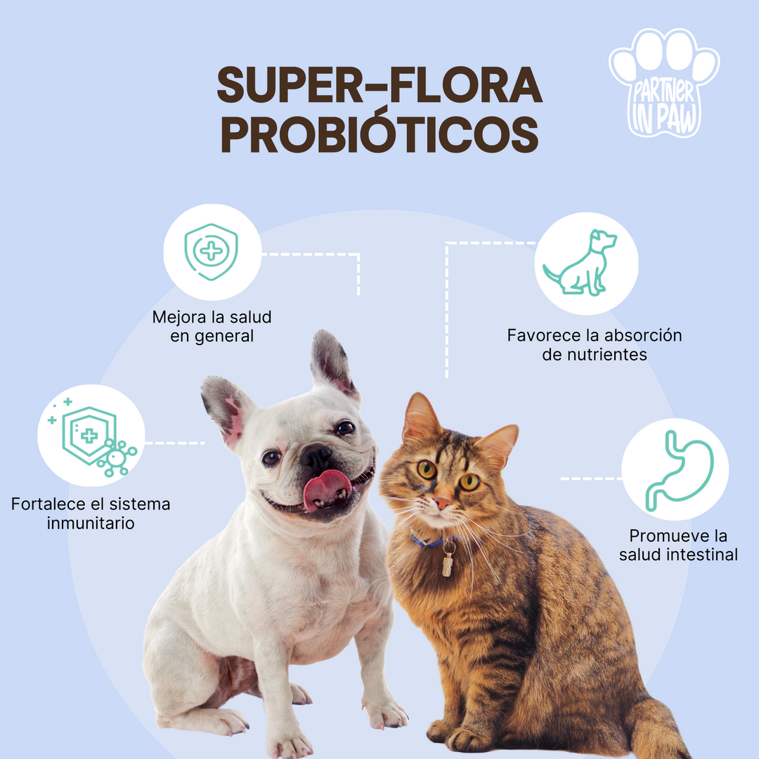 Super-Flora Probiotic | Probióticos masticables para la salud digestiva e inmunológica de tu mascota