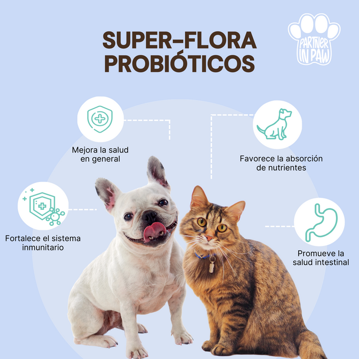 Super-Flora Probiotic | Probióticos masticables para la salud digestiva e inmunológica de tu mascota