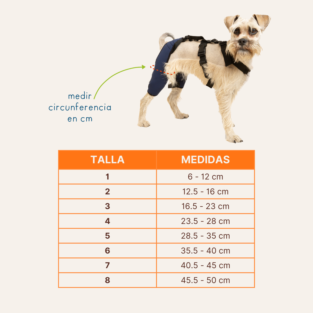 Rodillera Doble Patas Traseras para Perros y Gatos