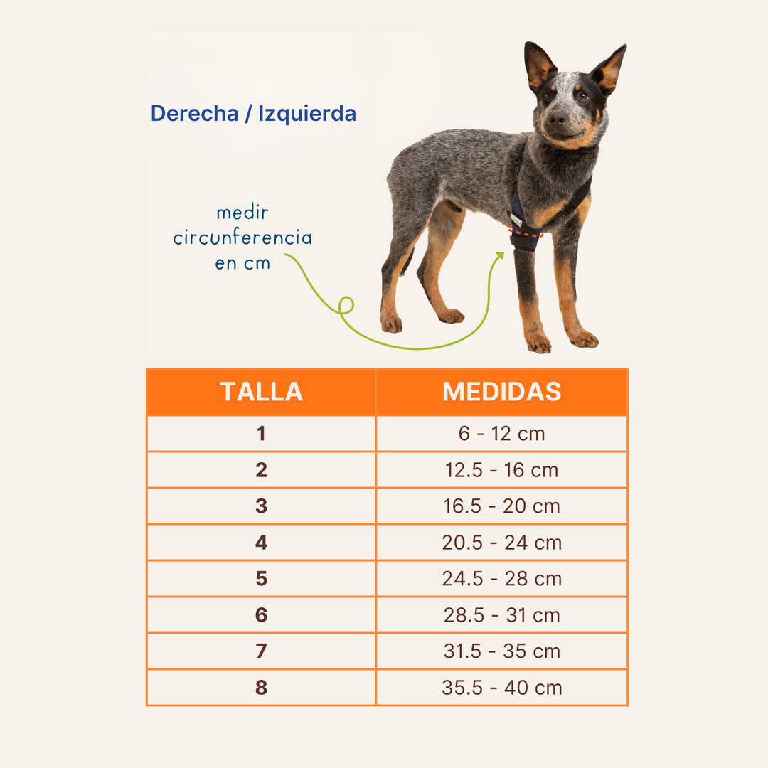 Codera Sencilla (Pata delantera) para Perros y Gatos