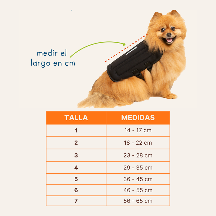 Chaleco de soporte toracolumbar para Perros y Gatos