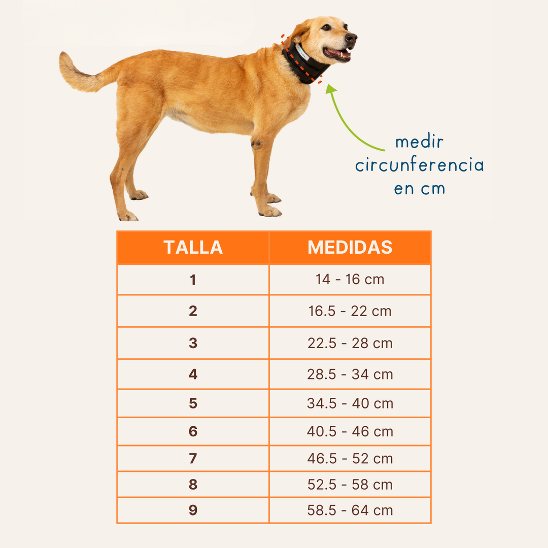 Collarín para Perros y Gatos