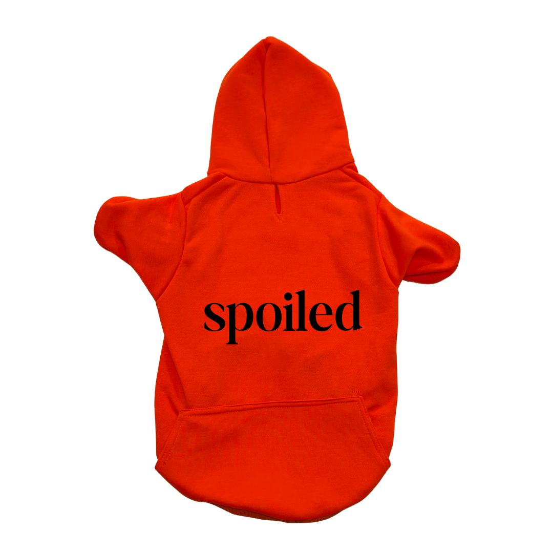 Sudadera "SPOILED"