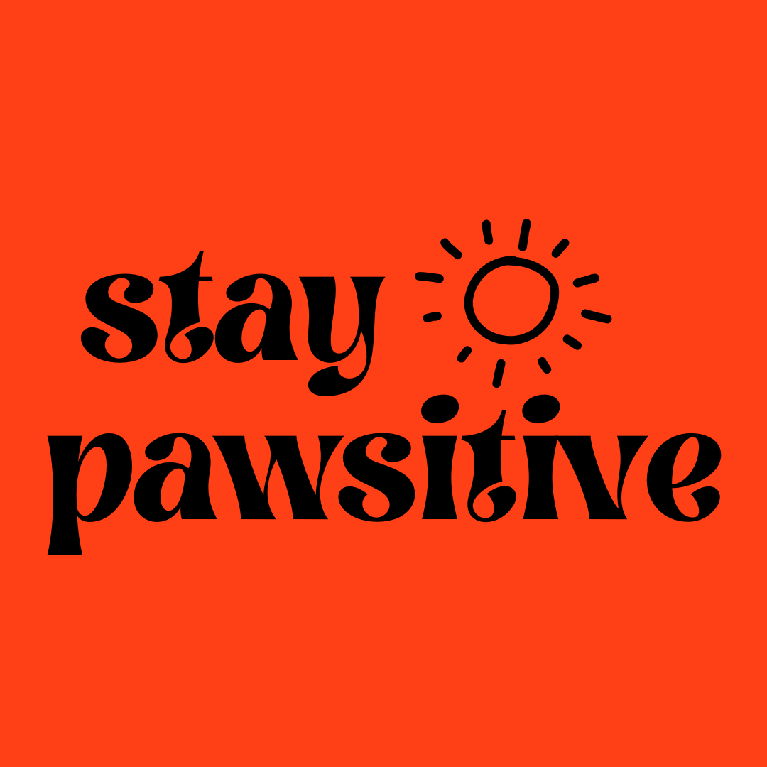 Sudadera "STAY PAWSITIVE"