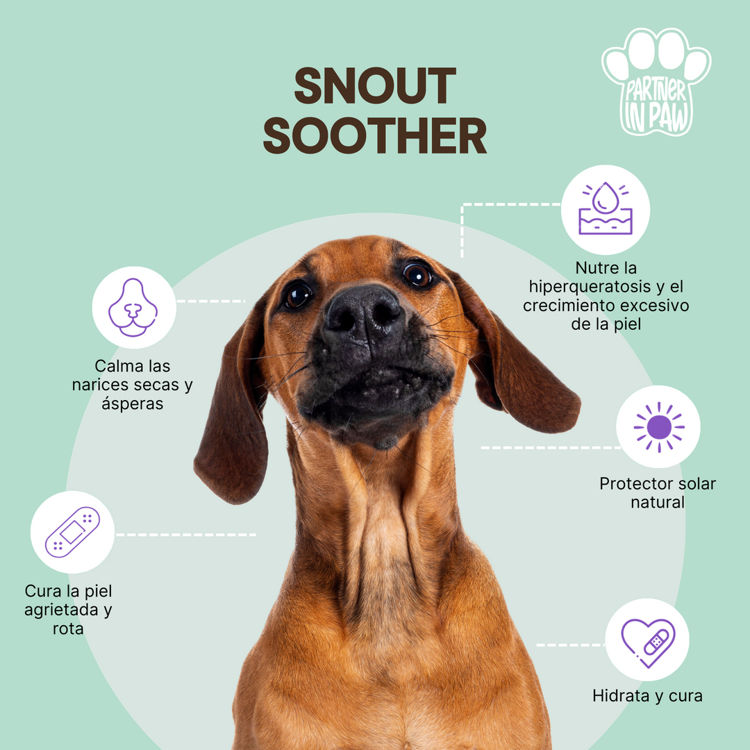 Snout Soother | Bálsamo hidratante para el hocico y nariz de tu mascota
