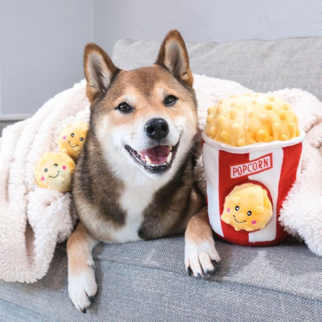 Juguete de Peluche l Palomitas