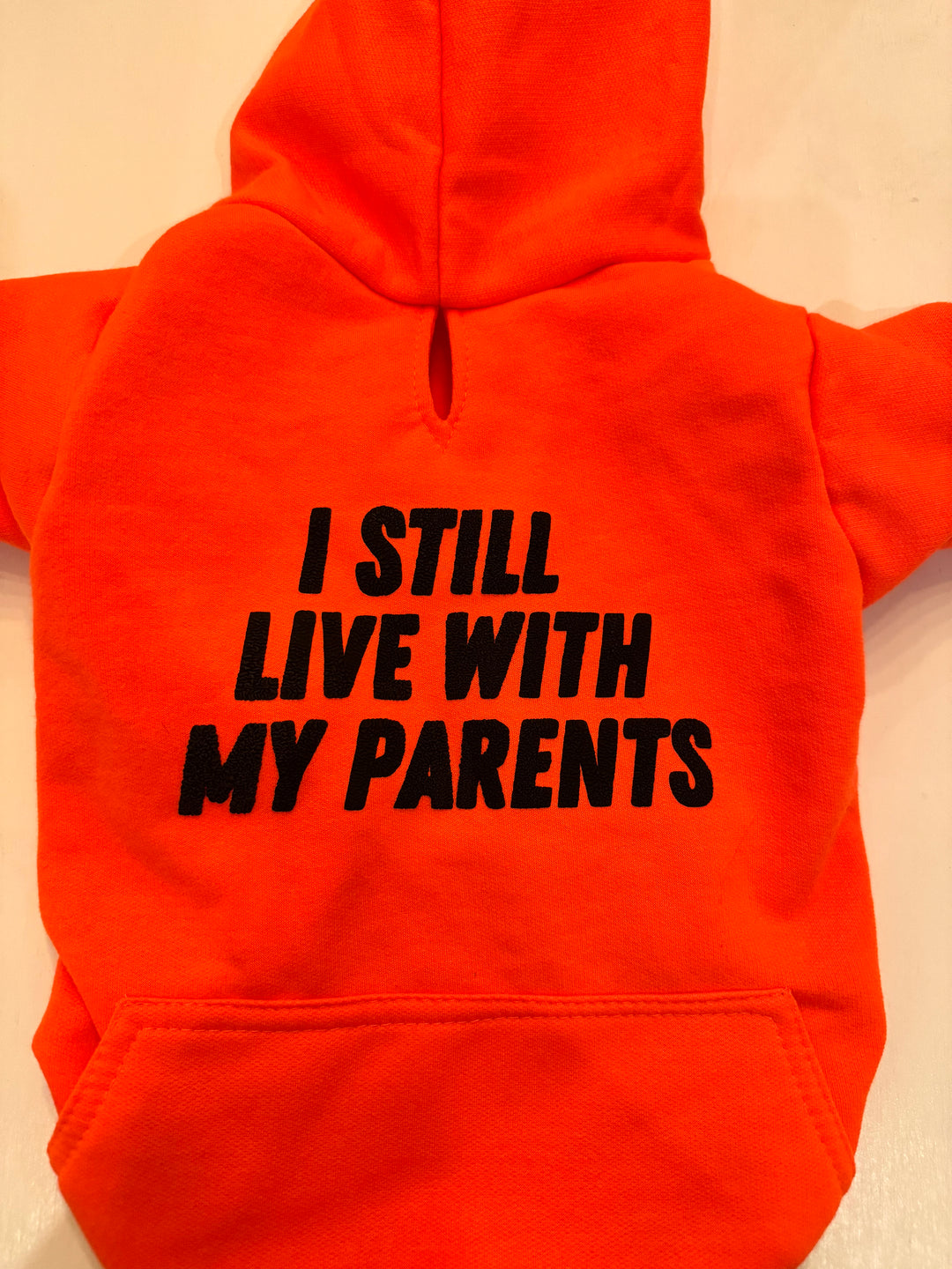 Sudadera "STILL LIVE WITH MY PARENTS"